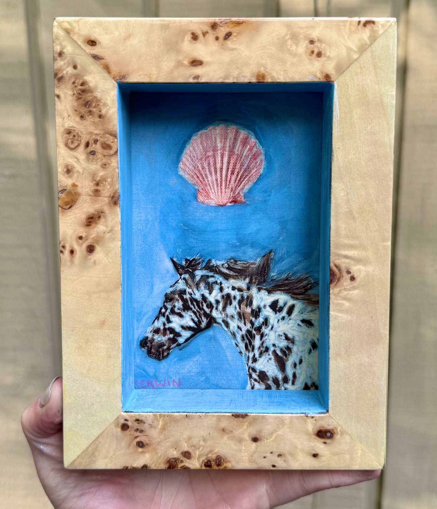 Sea Horse