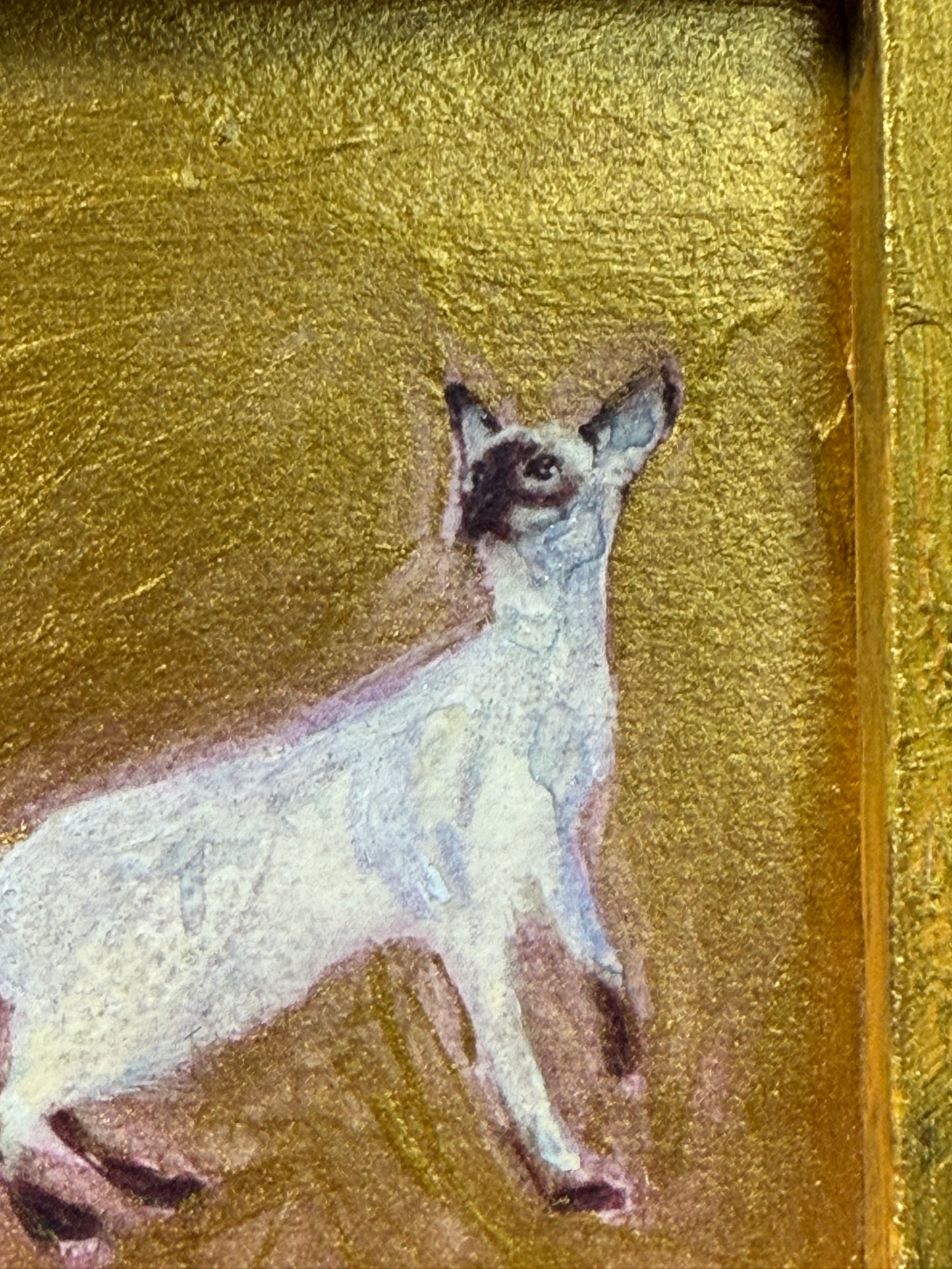 Siamese Cat