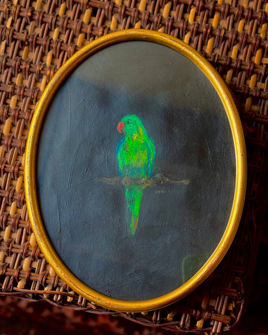 Green Parakeet