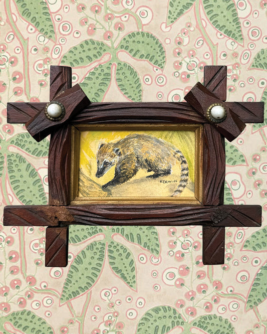 Coatimundi