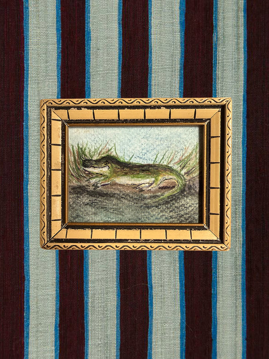 Sunbathing Gator